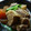 いずみるく's cooksnap of when they made ☆｡上品　おいしい　豚の角煮｡☆.