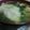 なぉさん。。。's cooksnap of when they made 野菜たっぷり☆餃子スープ.