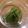 momokochan's cooksnap of when they made 白ゴマ入り～ピーマンの煮びたし.