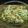 ちべターリー's cooksnap of when they made かぼちゃのチーズ焼き.