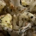 MULA's cooksnap of when they made レタス大量消費！簡単おつまみサラダ.