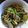 ニャン太77's cooksnap of when they made にんにくの芽のパスタ.