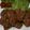うーたん1014's cooksnap of when they made ひき肉ステーキの照焼き.