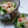 ダビデ's cooksnap of when they made きゅうりとかにかまのおろし和え.