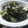 bulico's cooksnap of when they made きゅうりとワカメの塩炒め.