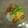 sukennya's cooksnap of when they made 五色　冷やし中華.