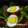 littlelily2007's cooksnap of when they made 黒酢でさっぱり中華風角煮.