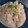 もちゃちゅ's cooksnap of when they made ほっこり旨ポテ.