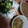 ﾅﾊﾟﾊﾞﾚｰ's cooksnap of when they made 夏を乗り切ろう！冷汁.