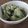 みるく✳︎ここあ's cooksnap of when they made 抹茶 わらび餅.
