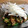 よっしー510's cooksnap of when they made きゅうりと　鯖味噌煮缶の　和え物.