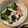 ぢぇねらる's cooksnap of when they made 簡単♪酢の物♪.