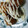 ★香★〇's cooksnap of when they made 唐揚げを使って・・・チキン南蛮風☆.