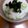 yukiyumisa's cooksnap of when they made 簡単☆オクラと長いもの和え物.