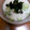 yukiyumisa's cooksnap of when they made 簡単☆オクラと長いもの和え物.