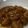 マホイ族の村長's cooksnap of when they made ご飯がすすむ☆自家製鶏そぼろ.