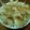 ぽんぽあーる's cooksnap of when they made 猫まんま.