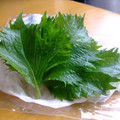 ＊ゆら＊'s cooksnap of when they made 大葉を長持ちさせる冷蔵保存方法❀✿.