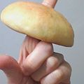 にゃん子っち's cooksnap of when they made 北海道ベーグル.