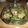 らすおやじ's cooksnap of when they made なすとピーマンのみそ炒め.