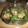 らすおやじ's cooksnap of when they made なすとピーマンのみそ炒め.