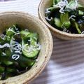 いずみるく's cooksnap of when they made 素酢で簡単♪きゅうりの酢の物.