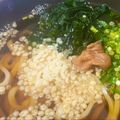 にゃつめ〜's cooksnap of when they made 梅わかめうどん.