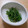 めなよ's cooksnap of when they made おかひじきのからしおかか和え.