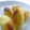 ｐｏｏｈ's cooksnap of when they made 邪道！な？スイートポテト.