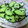 BBケント's cooksnap of when they made きゅうりの混ぜ込みわかめ和え.