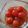 じろじろ's cooksnap of when they made ミニトマトのマリネ.