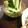 まな竜's cooksnap of when they made 温野菜・スティックサラダで野菜のおつまみ.