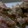 chie-zou88's cooksnap of when they made 魚焼き器でマヨチキン.