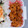 茶太郎ラッシュ･ω･'s cooksnap of when they made お弁当♪簡単♬やわらか生姜焼き＊特製タレ.