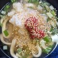 ErIkaC's cooksnap of when they made 風邪っぴきさんにあったか梅おろしうどん.