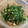 saki1010's cooksnap of when they made ほうれん草のｶｯﾃｰｼﾞﾁｰｽﾞ和え♪.