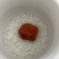 ゆかりりりー's cooksnap of when they made 簡単やさしい