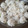 ゆるмαмα's cooksnap of when they made 簡単♪豚挽肉の♪もち米シュウマイ♪.