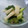 ☆R☆☆'s cooksnap of when they made たたき胡瓜と長芋の梅しそポン酢和え.