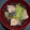 白いぐれーぷ's cooksnap of when they made 和風なスープ♡鮭＆きのこ.