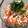 ｍａｒしゃん's cooksnap of when they made トマトともやしの冷やしそば.