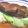 ごはんスキ's cooksnap of when they made とろ～り♪豚の角煮.