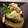 れな犬's cooksnap of when they made 牡蠣のオイル漬け.