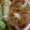 ラビリンス♪'s cooksnap of when they made お弁当の一品！　ちくわのおかか和え.