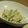 kikikko's cooksnap of when they made ♥きゅうりのわさマヨ醤油あえ♡.