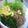 ＊ゆう＊＊＊'s cooksnap of when they made さっぱり食べれる夏ビビンバ。.