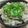☆chiemi♪★'s cooksnap of when they made ごぼうと豚バラ肉の変わり炊き込みご飯.