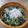 かめ凜's cooksnap of when they made 簡単!おいしい!きゅうり揉み★.