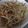 飛河えりか's cooksnap of when they made もやし炒め.