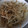 飛河えりか's cooksnap of when they made もやし炒め.